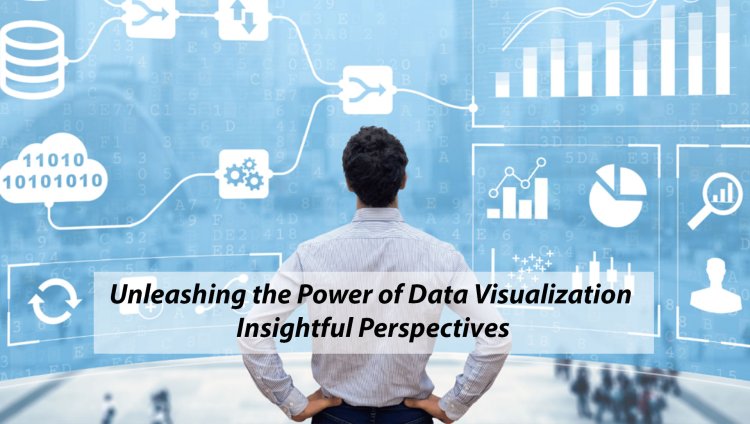 Unleashing the Power of Data Visualization: Insightful Perspectives