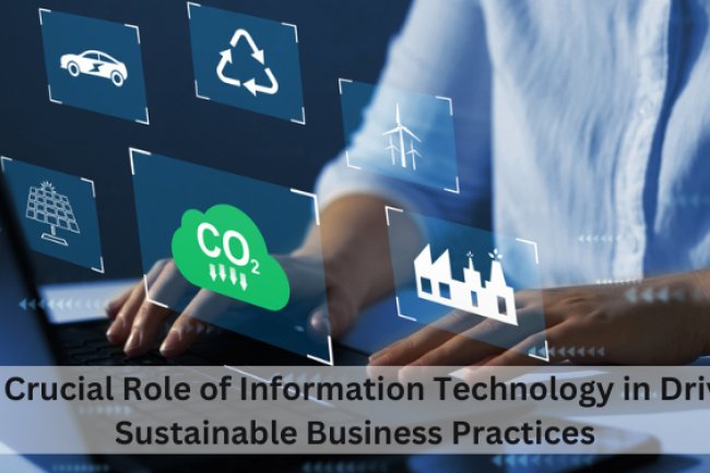 The Crucial Role of Information Technology in Driving Sustainable Business Practices