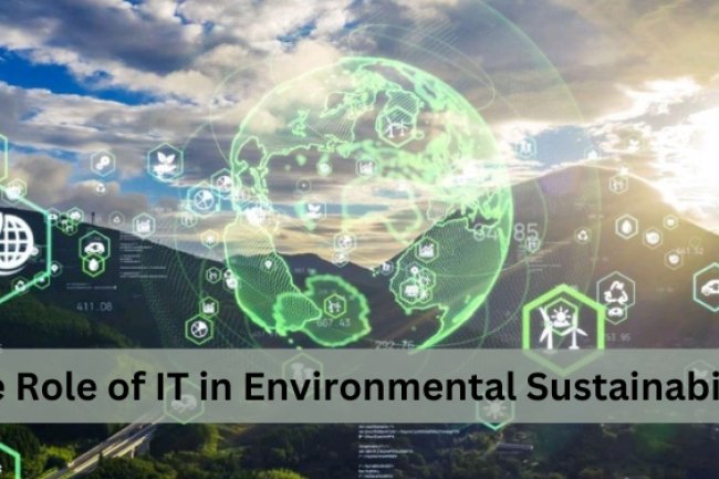 The Role of IT in Environmental Sustainability