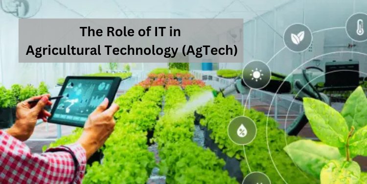 The Role of IT in Agricultural Technology (AgTech)